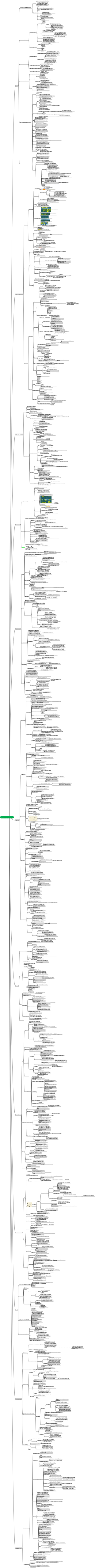 Общий обзор заболеваний слизистой оболочки полости рта