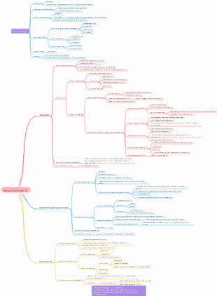 Медицинская микробиология ментальная карта кишечно-печеночных бактерий