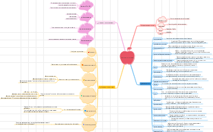 техника помидора