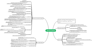 целостное обучение