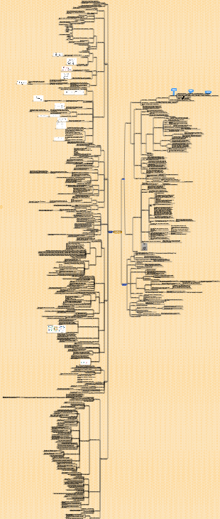 Общий обзор пищевой биохимии интеллект-карта