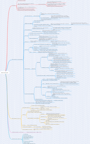 Микобактерии