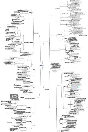Интеллект-карта четырех основных тканей гистологии и эмбриологии