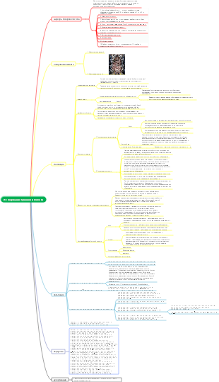 Исследование брюшной полости