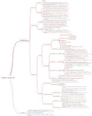 Capitale e patrimonio