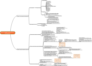 Management universitario-Evoluzione storica della teoria del management