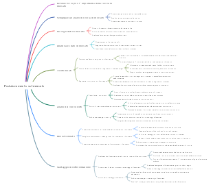 Posizionamento sul mercato