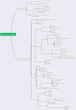 Strategia e gestione strategica