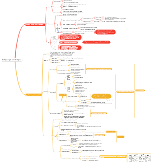 Strategia e gestione strategica