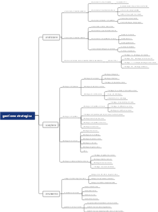 26-Gestione strategica