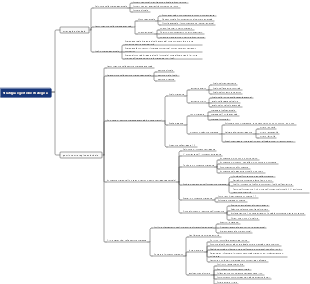 Capitolo 01, Strategia e gestione strategica