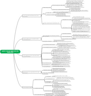 Mappa mentale della gestione organizzativa delle aziende multinazionali
