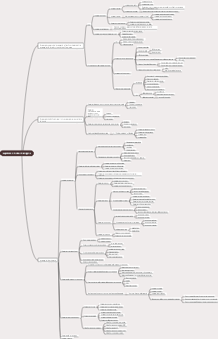 2022CPA Strategia aziendale e gestione del rischio-Capitolo 3 Scelta strategica