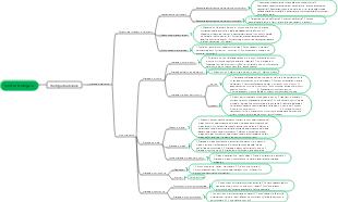 3. Scelta strategica (strategia funzionale)
