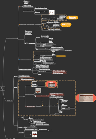 Lettura degli appunti-mappa mentale del mio ultimo libro sulla perdita di peso