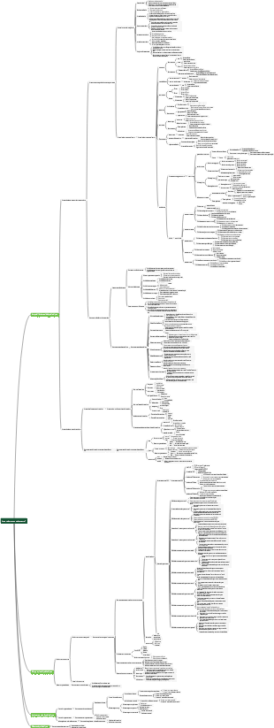 Come perdere peso velocemente