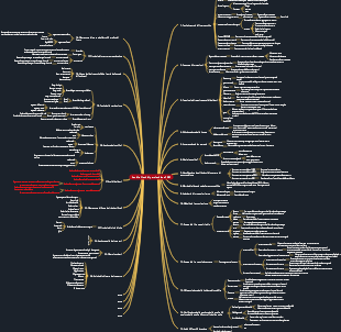 Vendita flash di parole chiave per esami 15PMP