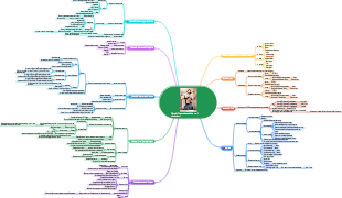 Piano di fitness dettagliato per i principianti
