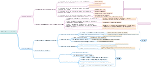 Filosofia di carriera