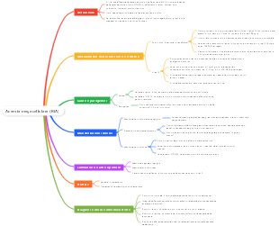 Anemia megacellulare (MA)