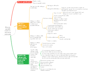 Risorse spaziali marine e sicurezza nazionale