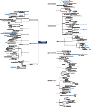 【01】 Connaissances et capacités des enfants Préscolaire Développement des enfants (partie 1)