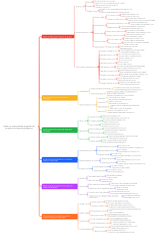 Pontos de conhecimento do gerente de projeto de sistema de informação
