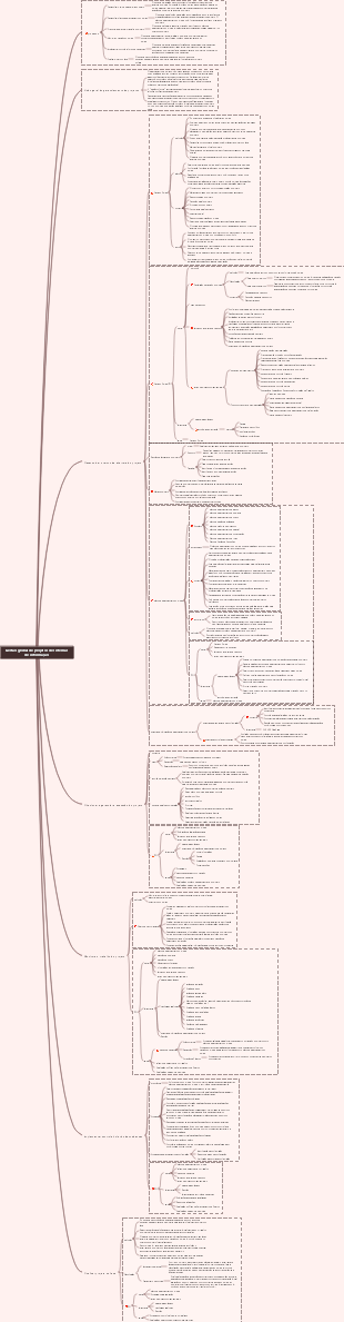 Gestão global de projetos de sistemas de informação