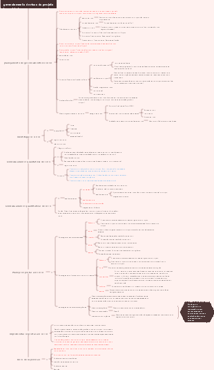 gerenciamento de risco do projeto