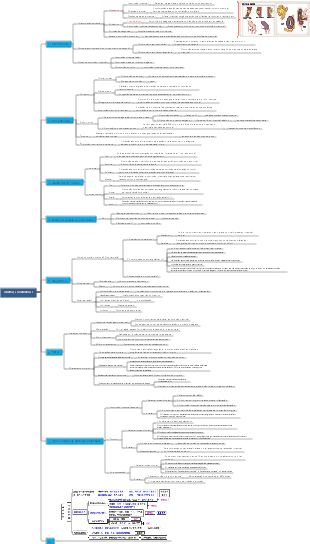 obstrução intestinal