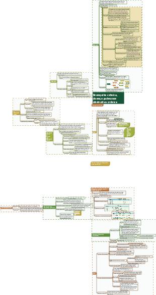 Medicina Interna - Bronquite Crônica e Doença Pulmonar Obstrutiva Crônica