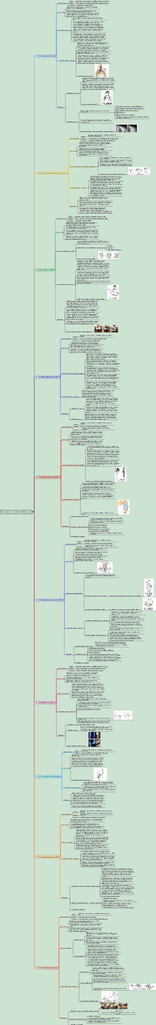 Cirurgia 059 Lesões ósseas e articulares dos membros superiores