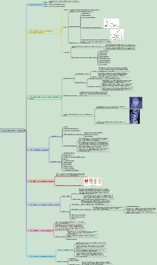 Cirurgia 058 Introdução às Fraturas