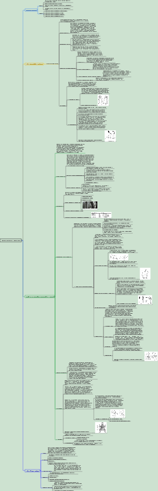 Cirurgia 057 Malformações do Sistema Locomotor