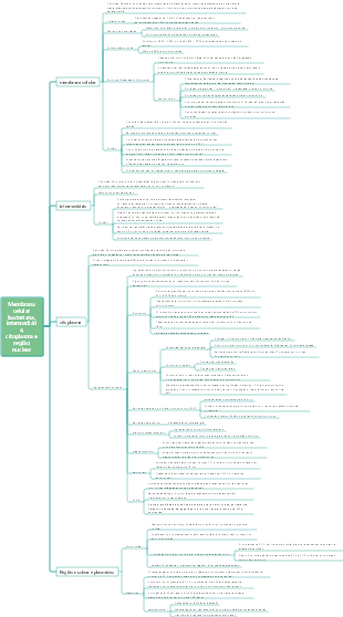 Membrana celular bacteriana, membrana intermediária e celular