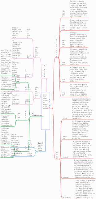 Biologia – o colorido mundo biológico