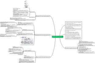 Diagnóstico Laboratorial Médico - Mapa Mental do Líquido Cefalorraquidiano