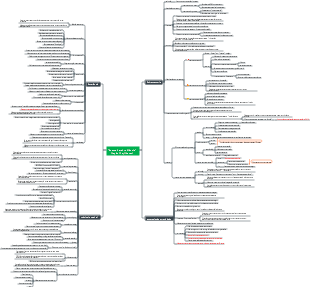 Exame Cérebro Ciência
