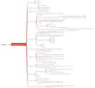 Zoologia-Mapa mental das principais características dos anfíbios