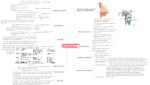 Mapa Mental de Medicina-Câncer de Mama