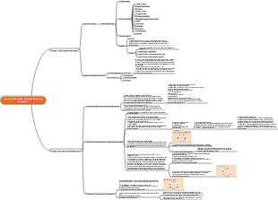 Gestão Universitária - Evolução Histórica da Teoria da Gestão