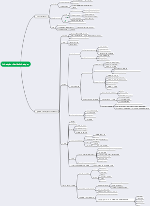 Estratégia e Gestão Estratégica