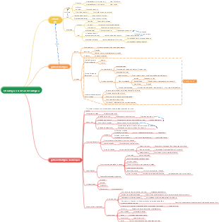 Estratégia e Gestão Estratégica