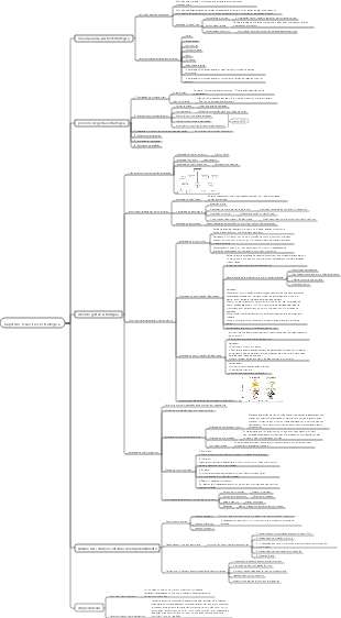 Capítulo 6 Gestão Estratégica