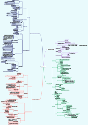 Escolha Estratégica