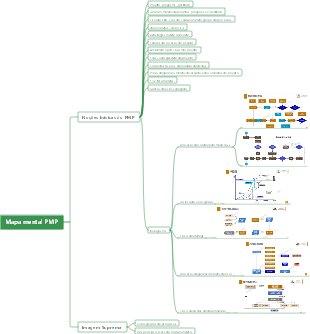Mapa mental PMP