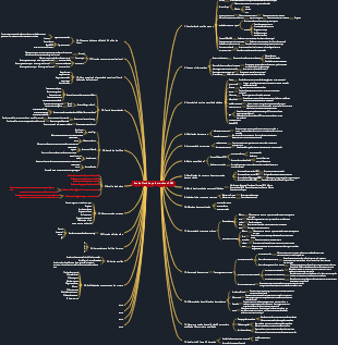 Venda Flash de palavra-chave do exame 15PMP
