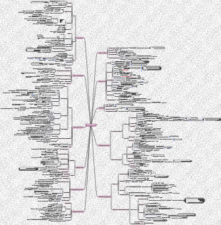 органическая химия