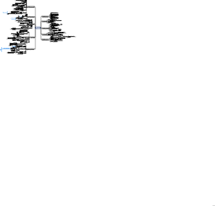 CFA de Finanças Corporativas