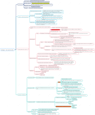 A Essência da Perda de Peso – Brincando com Mapa Mental de Carboidratos